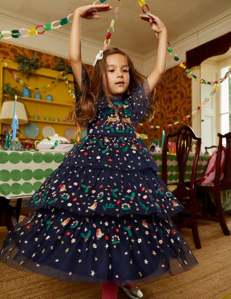 Navy Kids\' Boden Tulle Embroidered Party Dress | 51207GXQJ